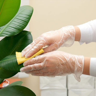 Half Met een laag bedekt van het de Handnitril van de fabrieksprijs Beschikbare Latex Gepoederde Duidelijke de Doos Witte Blauwe Vinylhandschoen van de Examenrang
