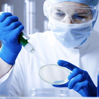 ISO14001 6 Beschikbare de Veiligheidshandschoenen van Mil Nitrile Medical Examination Gloves