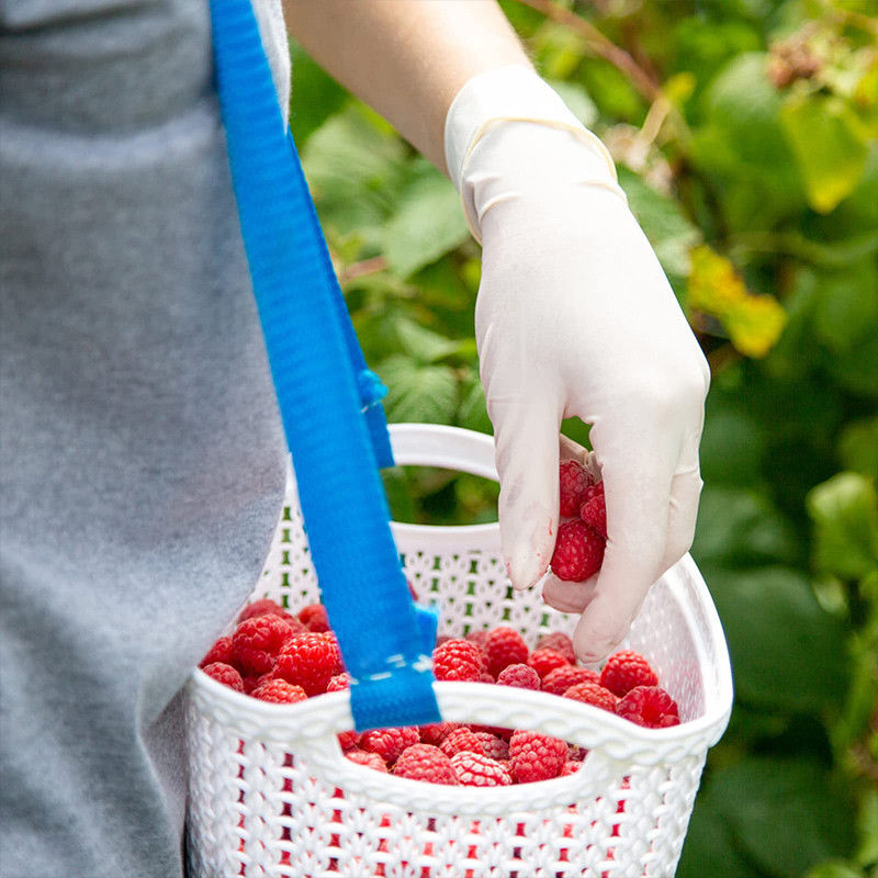 Het Algemeen medische onderzoek van de Nitrildoos Gloves de Chirurgische Handschoenen van het Poeder Vrije Latex