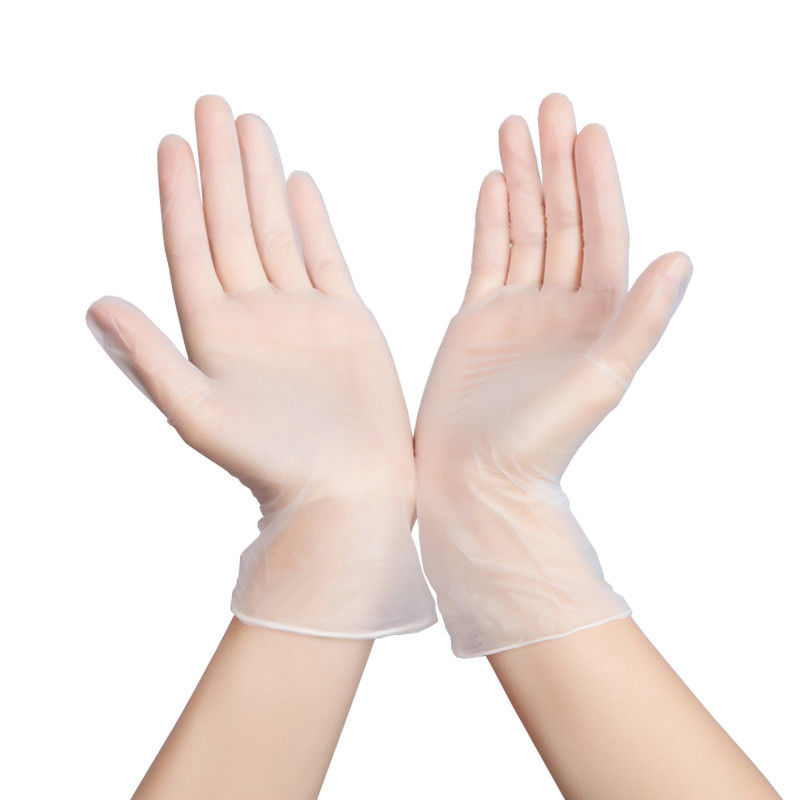 Beschikbare Vinylhandschoenen L XL van poeder de Vrije pvc voor Algemeen medisch onderzoek